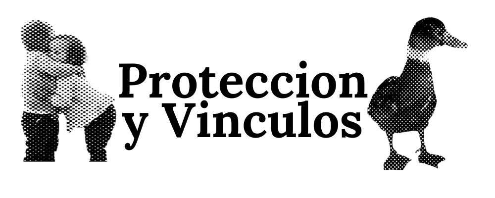 Protección y Vínculos